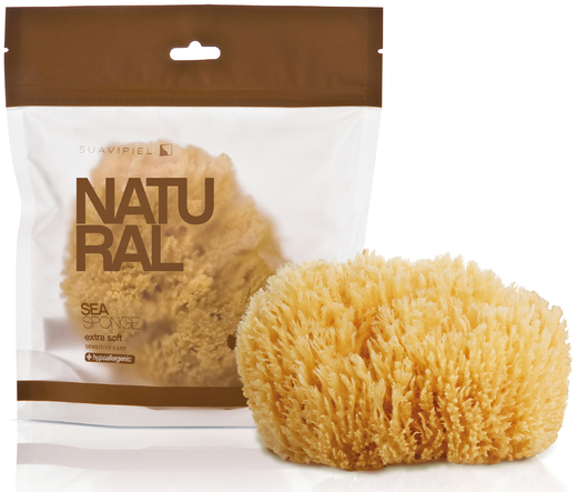 Natural Sea Sponge